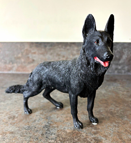 Black alsatian german shepherd - alsatian/german,