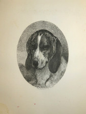 Godefroy JADIN (1805-1882) EAU