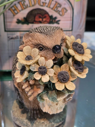 Hedgies love you this - this, much