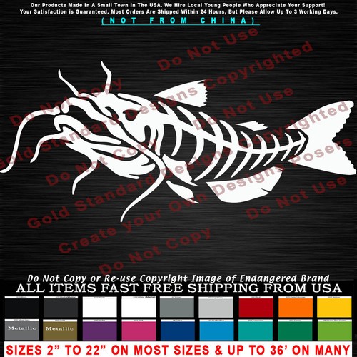 Catfish skeleton look left - -,