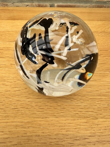 Large clear glass - large,
