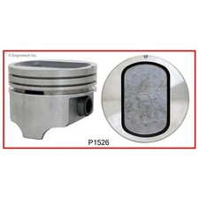 Pistons and Rings for 69-76