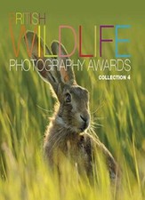 British Wildlife Photography