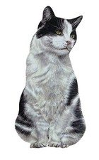 Black and White Cat Magnet -