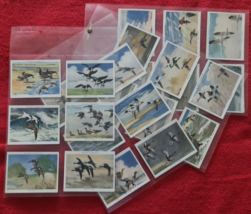Wildfowl john players - wildfowl,