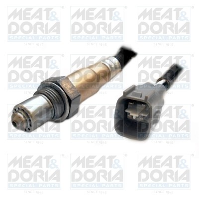 81670 meat doria - &, oxygen