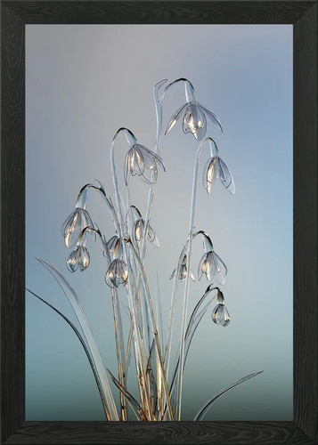 Glass snowdrops framed wall - glass,