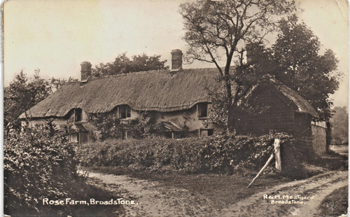 Broadstone near poole - near, rose
