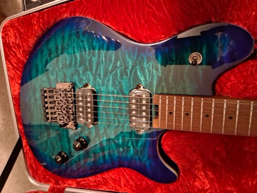 Evh wolfgang standard - wolfgang,