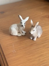 Schleich White Hare & Wild