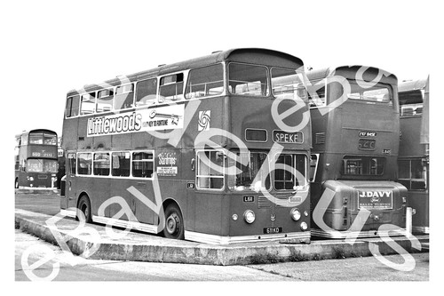 Bus photograph merseyside pte - photograph,