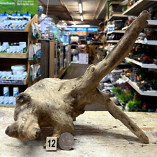 Mojo Barico Wood Aquarium