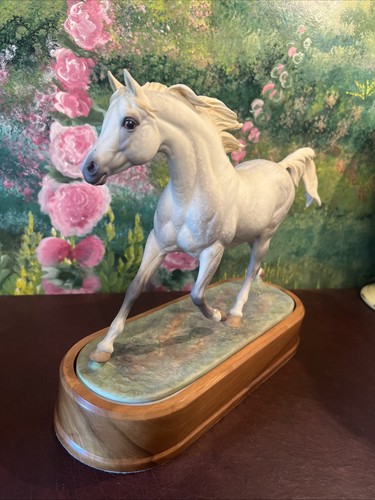 Arab stallion doris - arab, lindner