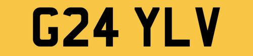 Gayle private number - v,