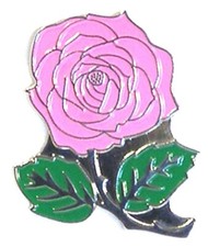 English Rose in Pink Metal