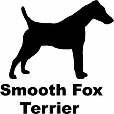 Smooth Fox Terrier