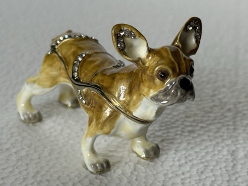 Ciel boston terrier dog - ,
