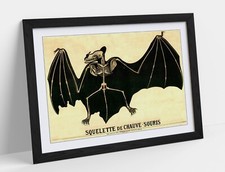 VINTAGE BAT SKELETON