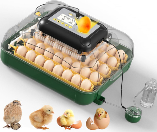 Egg incubator for hatching - 30,