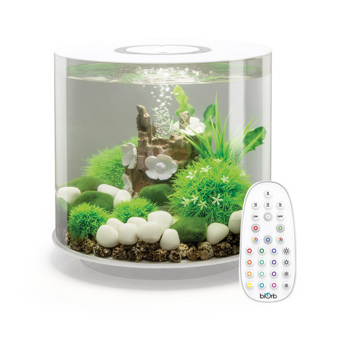 Oase biorb tube - oase, aquarium