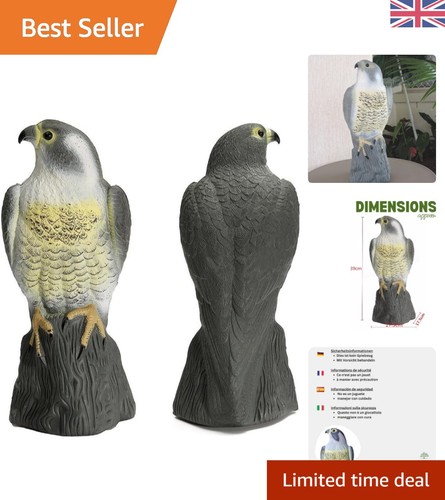 Durable hawk owl - hawk, bird