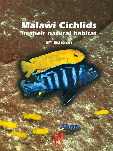 Malawi cichlids their - malawi, in