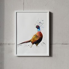 Pheasant Portrait Splatter