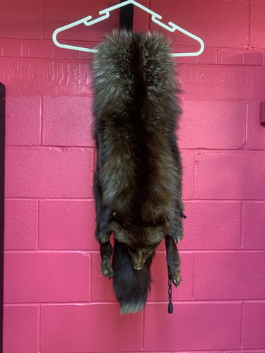 Genuine vintage full fox - vintage,