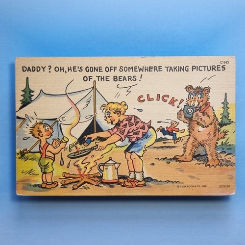 Comic postcard c1950 camping - c1950,
