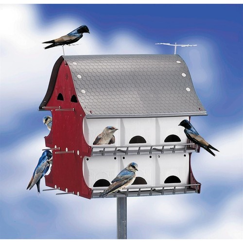 Purple martin barn house - martin,
