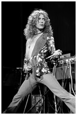 Robert Plant Poster 24x36 Inch