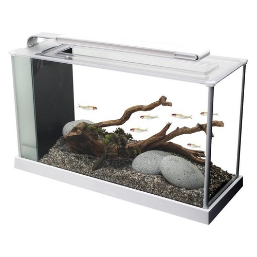 Fluval spec 19l - fluval, nano