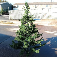 LARGE 6.6 FOOT CHRISTMAS TREE Decorative Artificial Tree