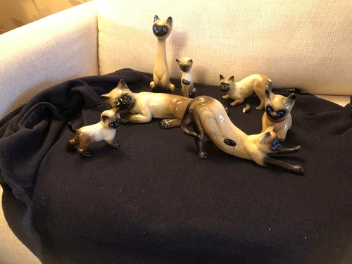 Coopercraft siamese cat