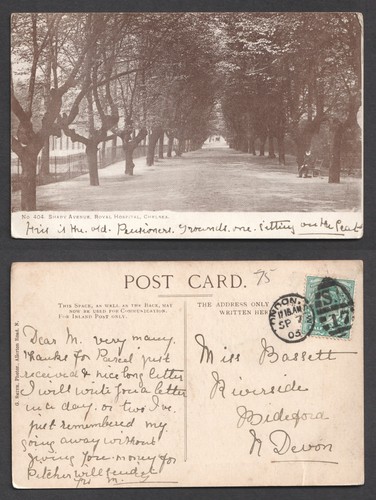 Chelsea royal hospital shady - royal,