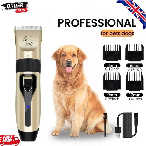 Professional pet dog grooming - professional,