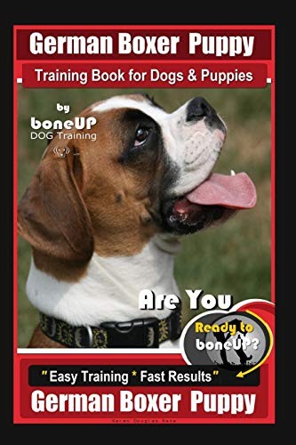 German boxer puppy - boxer, training