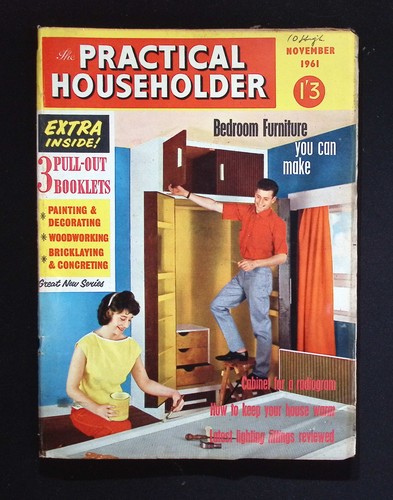 The practical householder - practical,