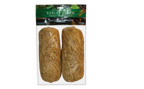 Original barley straw - original, bales