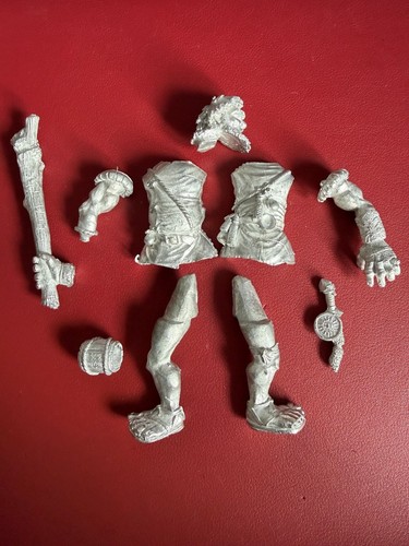 Warhammer empire marauder - warhammer, 1x