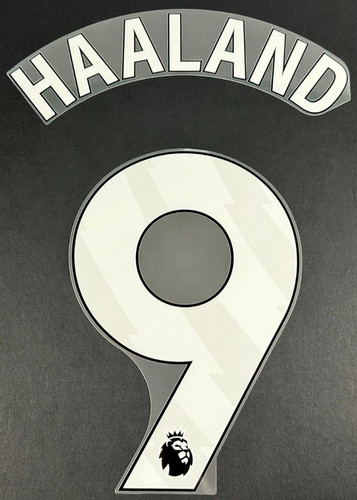 Man city 2025 haaland - 2025/26, 9