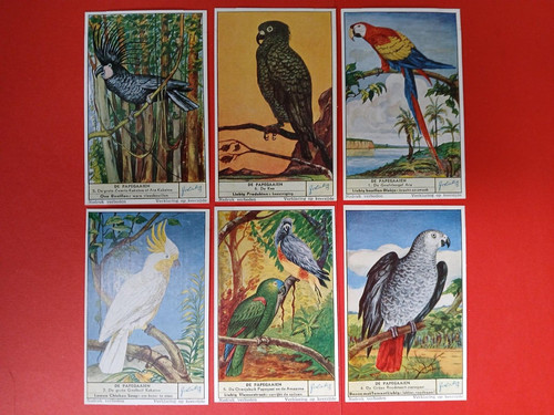Liebig cards 1621 de - 6,