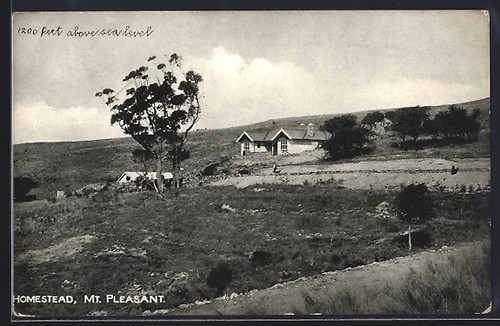 Pleasant homestead - mt.,