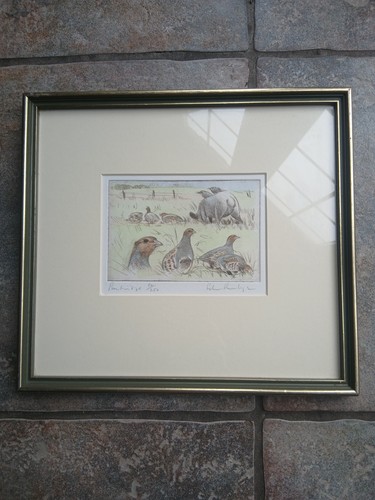 Limited edition signed peter - limited,