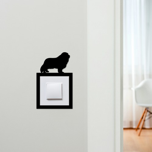 Light switch surround - surround, cavalier