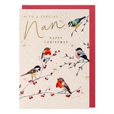 Nan Christmas Card Special Grandma Nanna Nanny Birds Robin - Festive Xmas Card