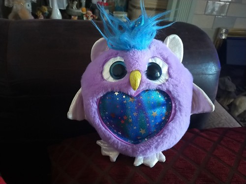 Rainbocorn fairycorn owlcorn - fairycorn,