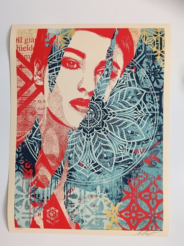 Shepard fairey fractured - shepard,