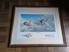 Framed Lightnings Aircraft By Iain Wyllie 55cmx45cm Vintage Frame wall picture