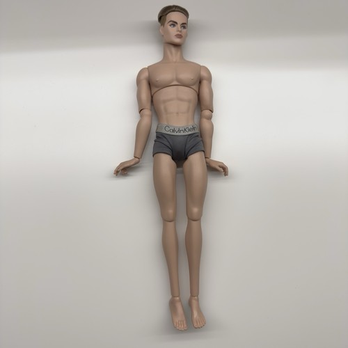 Integrity fashion royalty doll - royalty,